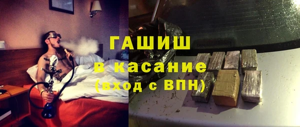индика Ладушкин
