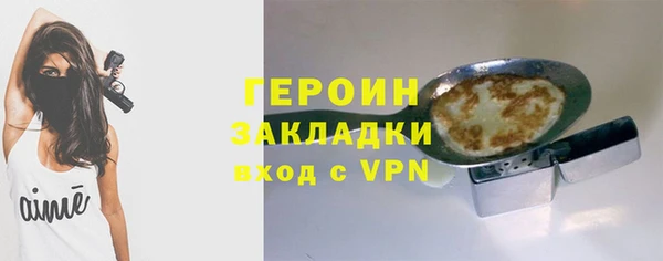 индика Ладушкин