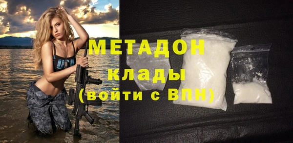 индика Ладушкин