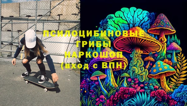 гидропоника Лагань
