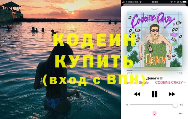 индика Ладушкин